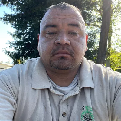 Top notch tree services inc