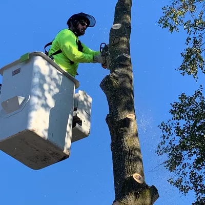 Snyder’s Tree Service