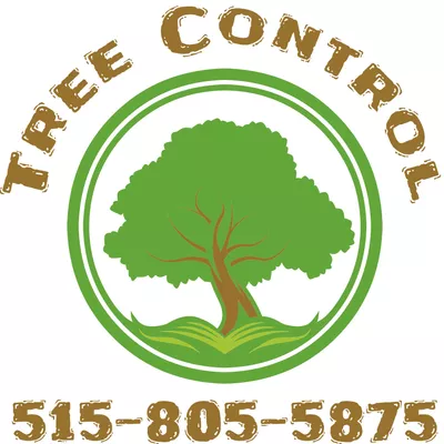 Tree Control