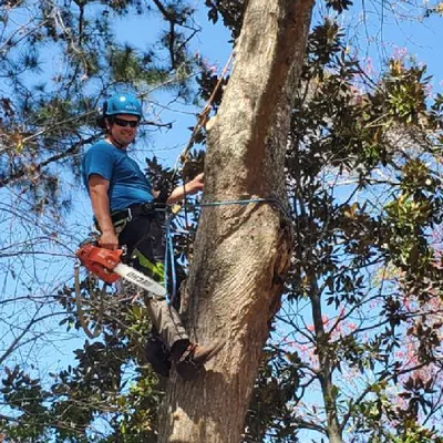 Proper Tree LLC