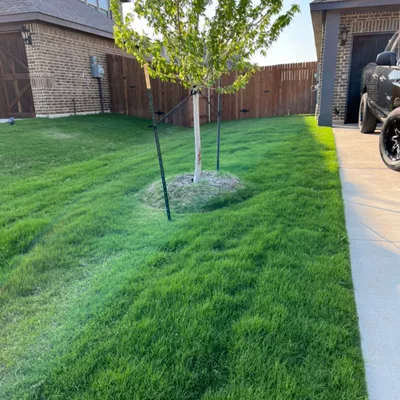 Becks lawn serviced