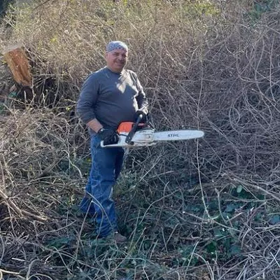 IPO Tree Services & Landscaping LLC