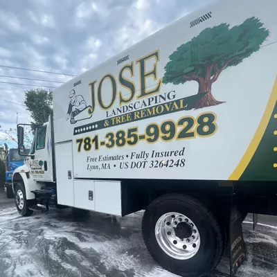 Jose Tree Removal Service