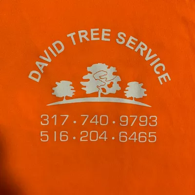 David Tree Services, LLC