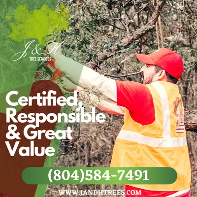 J&H Tree Services