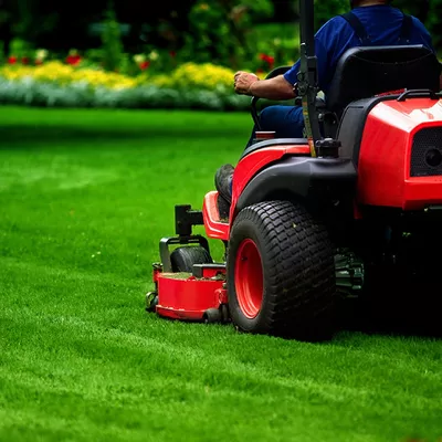 Armadillo Lawn Care & Services