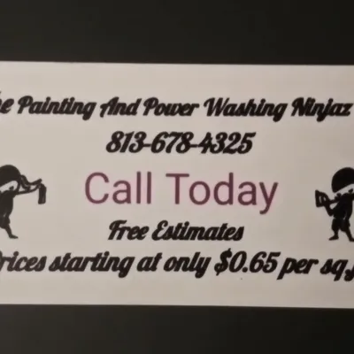 The Painting and power washing ninjaz llc