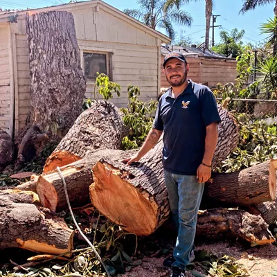JYL affordable tree care