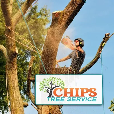 Chips Tree and Landscape