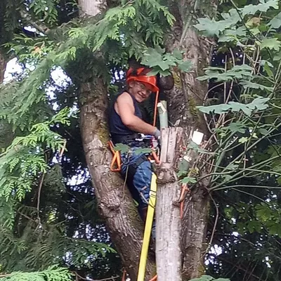 Tre's Tree Trimming