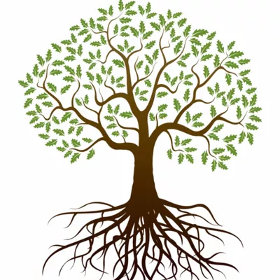 One Way Tree Care