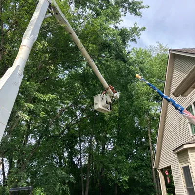 Done right tree service