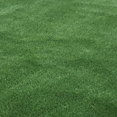 Desert Turf