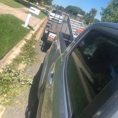 Enterprise Tree Service