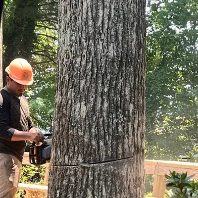 Benítez Tree Service