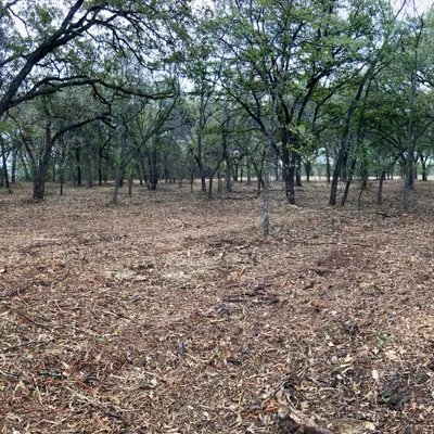 Great 8 Forestry