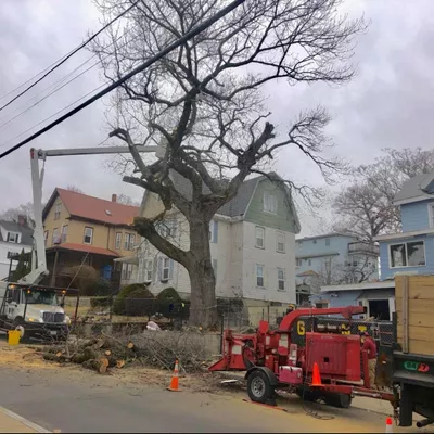 HERMEN & SON'S LANDSCAPING & TREE SERVICES