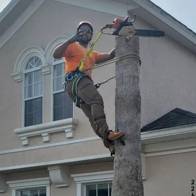 Justin Time Tree Service