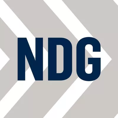 Nielsen Development Group