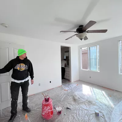 Pro painting inc