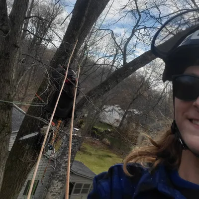 JJ's Tree Solutions LLC