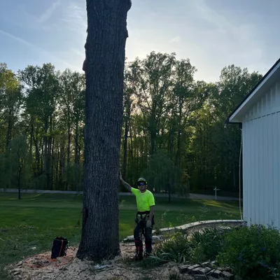 Sheridan Tree Experts