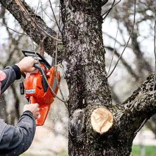 Limb to limb tree service and land clearing