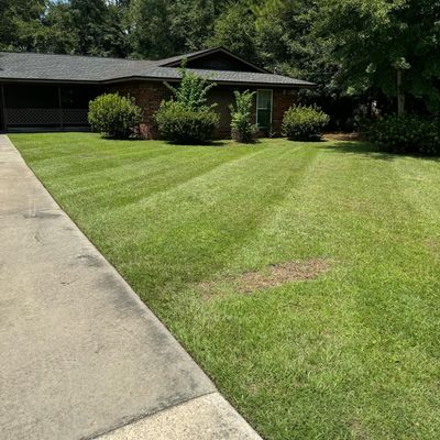 SeLecT Landscaping and Design