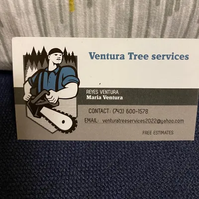 Ventura Tree Services, LLC