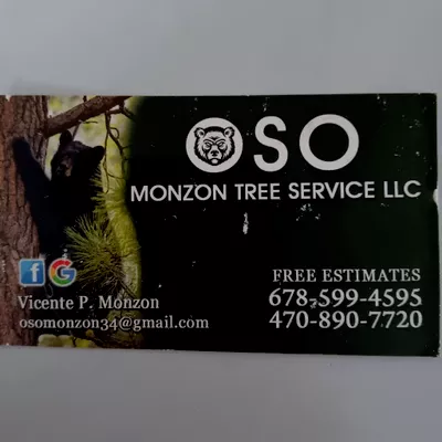 Oso Monzon Tree Services Llc