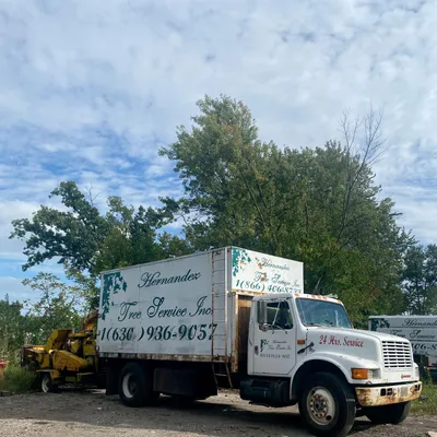 Hernandez LT Service Ltd.