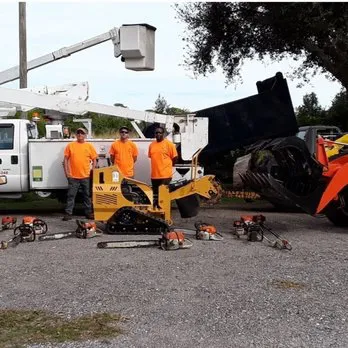 Quality Tree Service