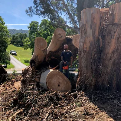 J.C. Tree Service LLC