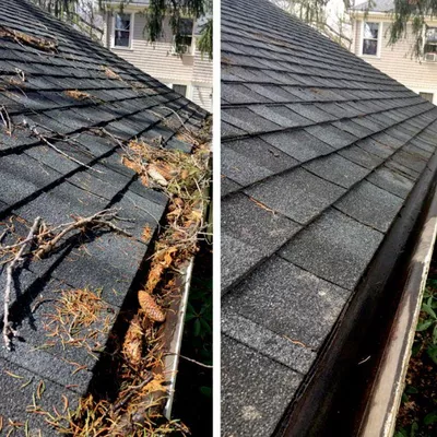 Gutter cleaning/ home maintenance