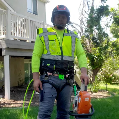 All Star Tree Service & Landscaping