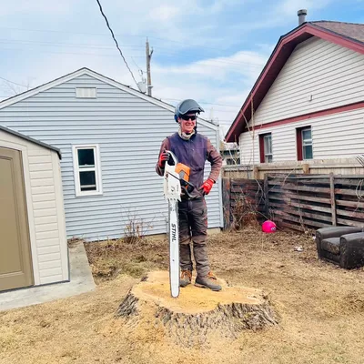 Tannenbaum Tree Care