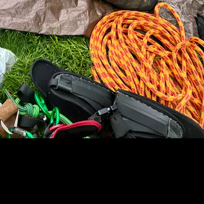 Nyc top Arborist