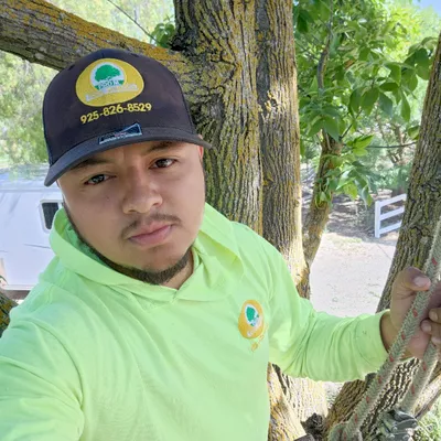 Pro m Tree Service