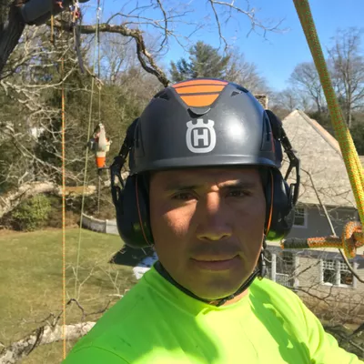 Life Tree Services LLC