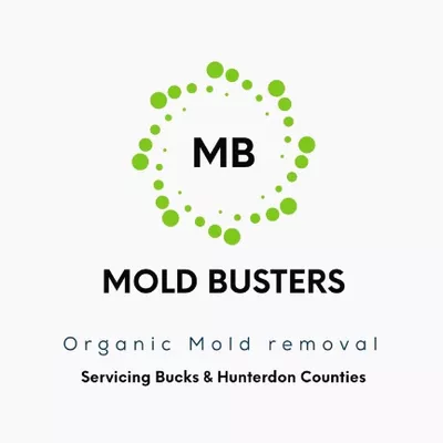 Mold Busters