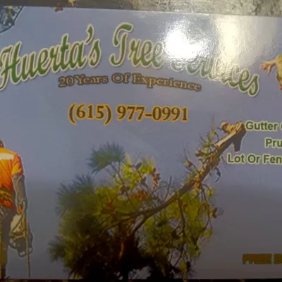 Tree service