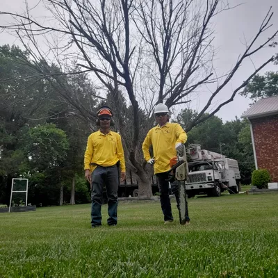 KL Tree Service LLC
