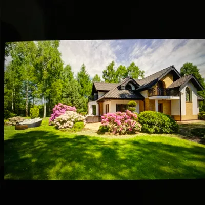 Gustavo Ramirez Tree services