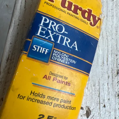 Pioneer Painting