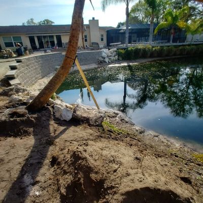M.S.N Services LLC