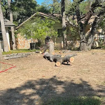 Jose Tree Service