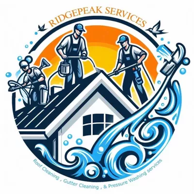 Ridgepeak Services LLC