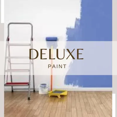 Deluxe paint