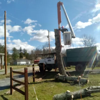 Woodsmen tree company