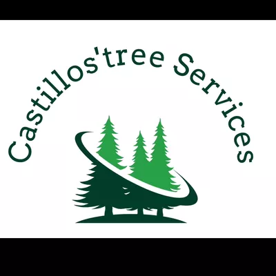 Castillo’s Tree Service